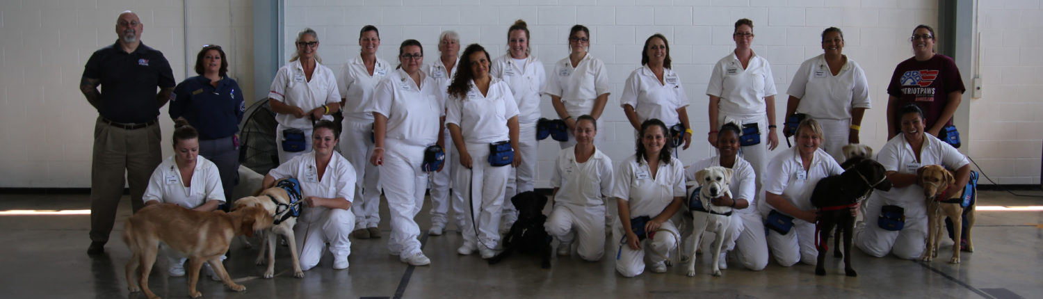 Paws and Rehabilitation: Dog Training Programs in American Prisons